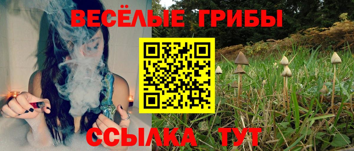 Шебекино  Псилоцибиновые грибы MAGIC MUSHROOMS  Вход с VPN  Псилоцибиновые грибы ЛСД 